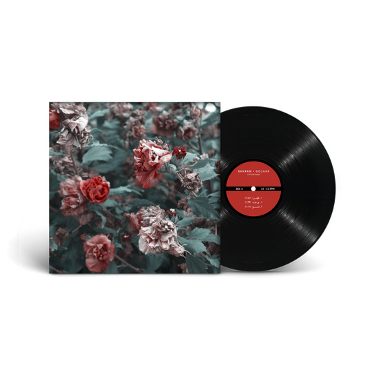 GOZAAR 12" VINYL